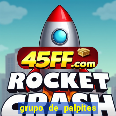 grupo de palpites de futebol whatsapp